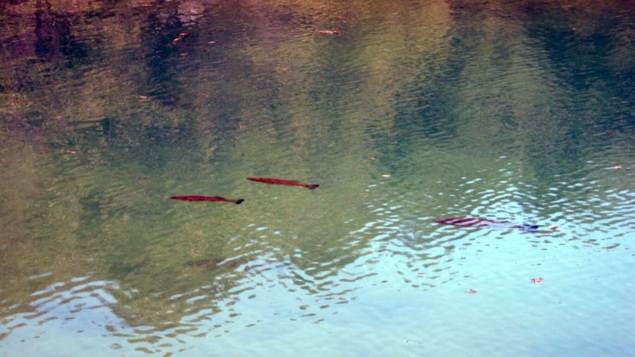 Photo of Others in Milford