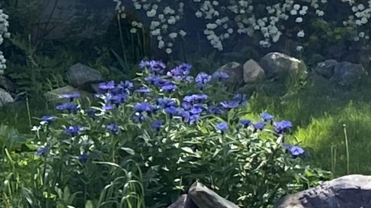 Photo of Outdoor in South End