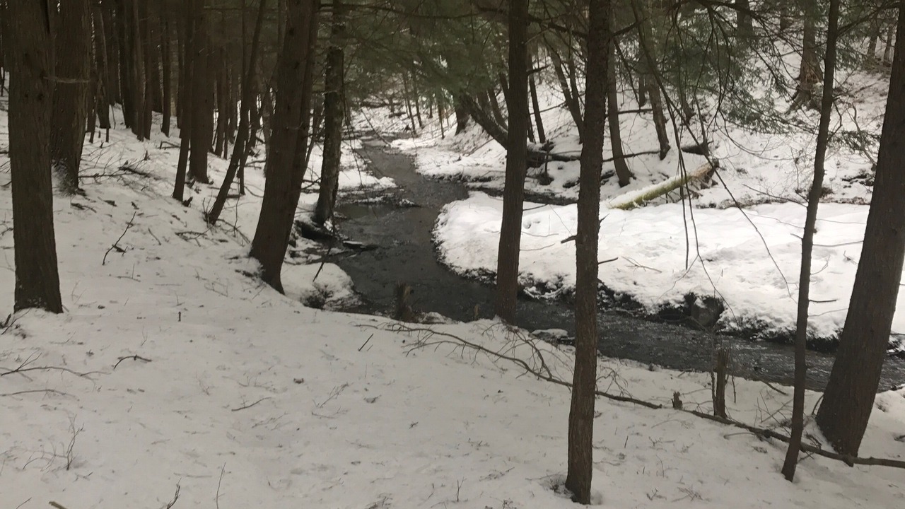 Photo of Others in Burlington Flats