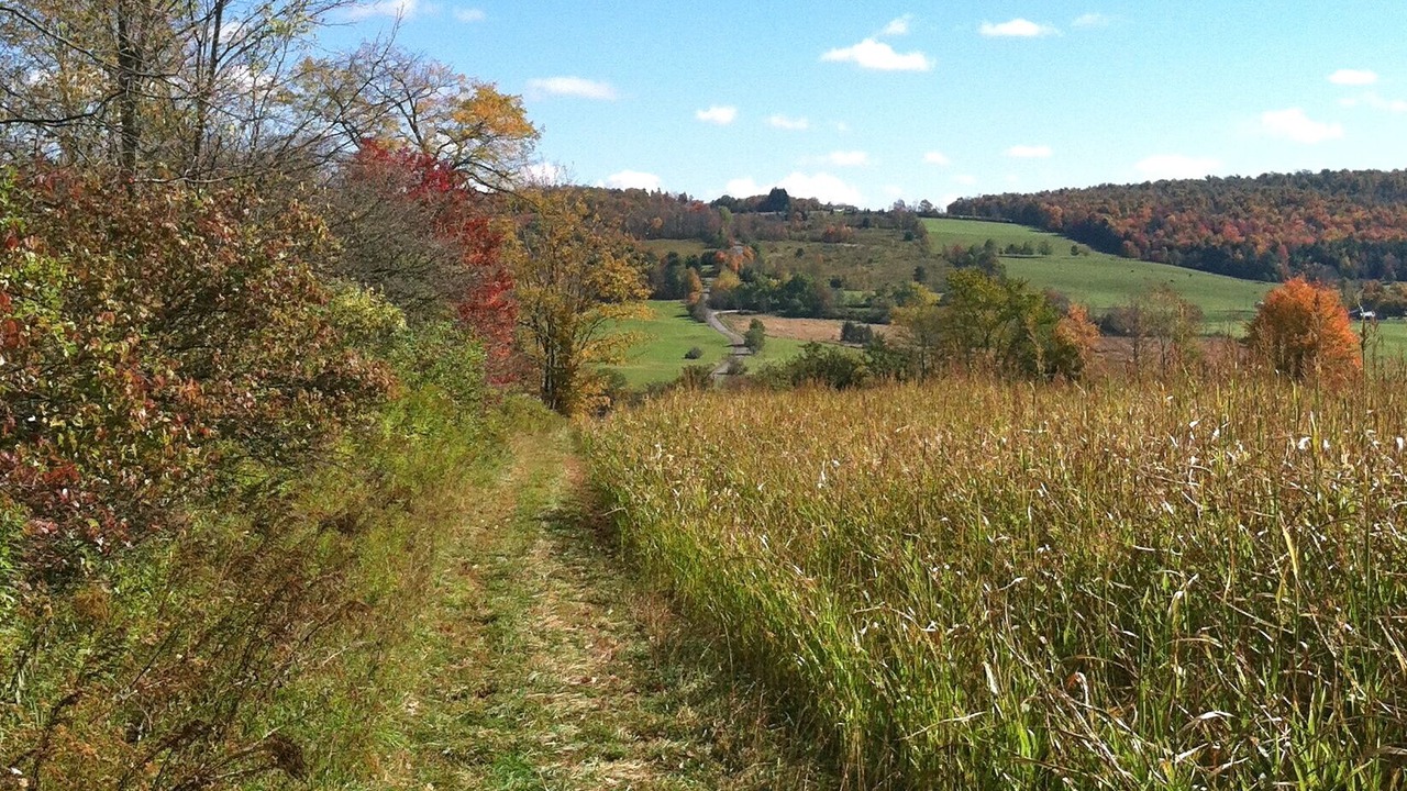 Photo of Outdoor in Burlington Flats
