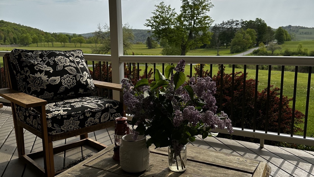 Photo of Patio Balcony in Burlington Flats