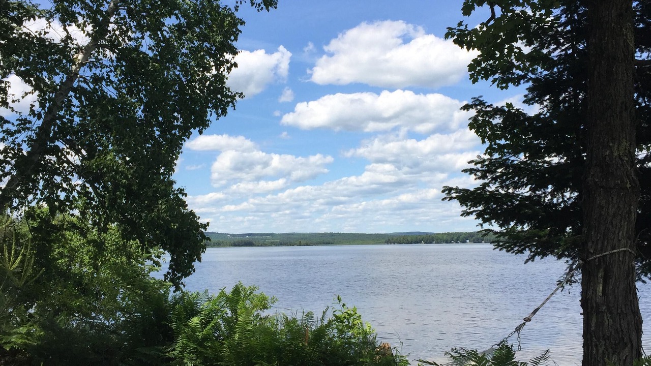 Photo of Outdoor in Madison