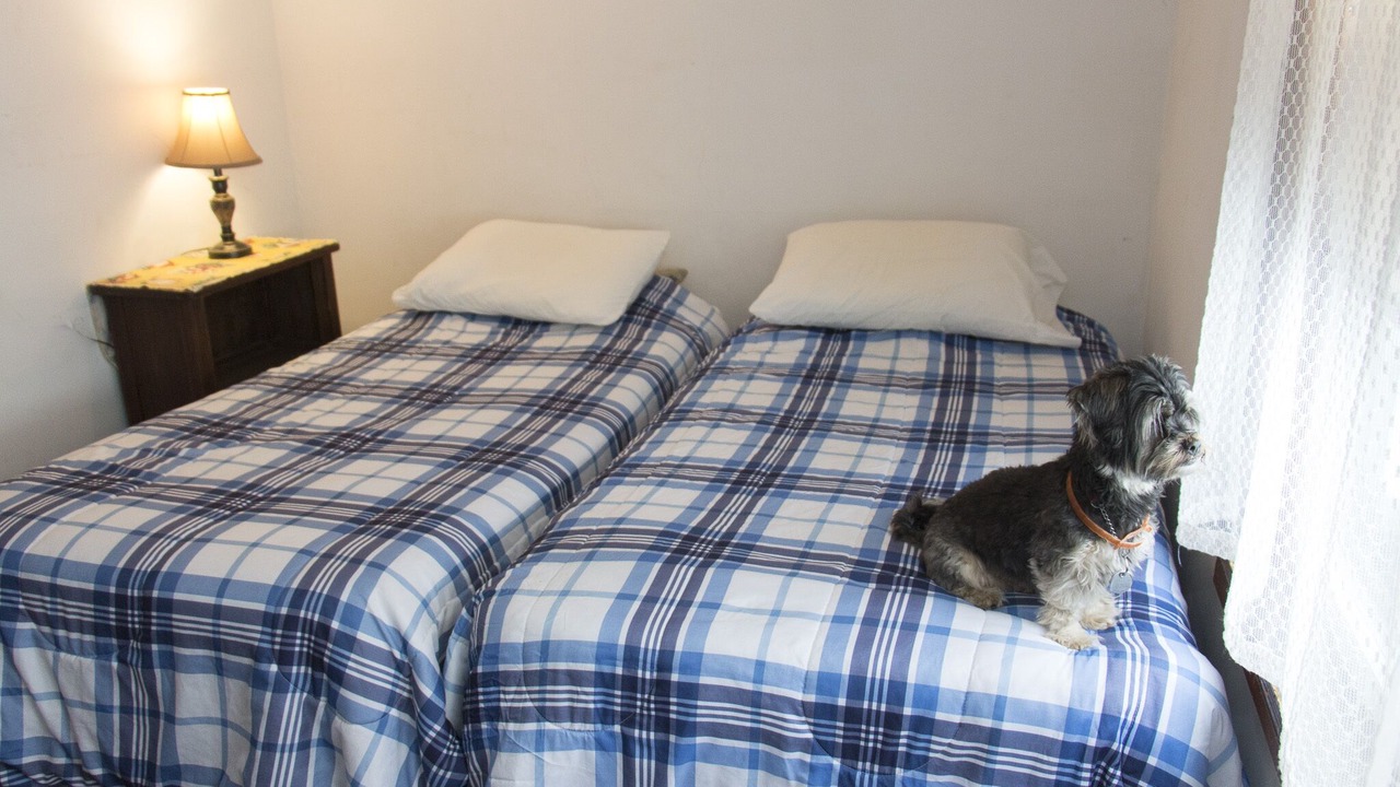 Photo of Bedroom in Tannersville