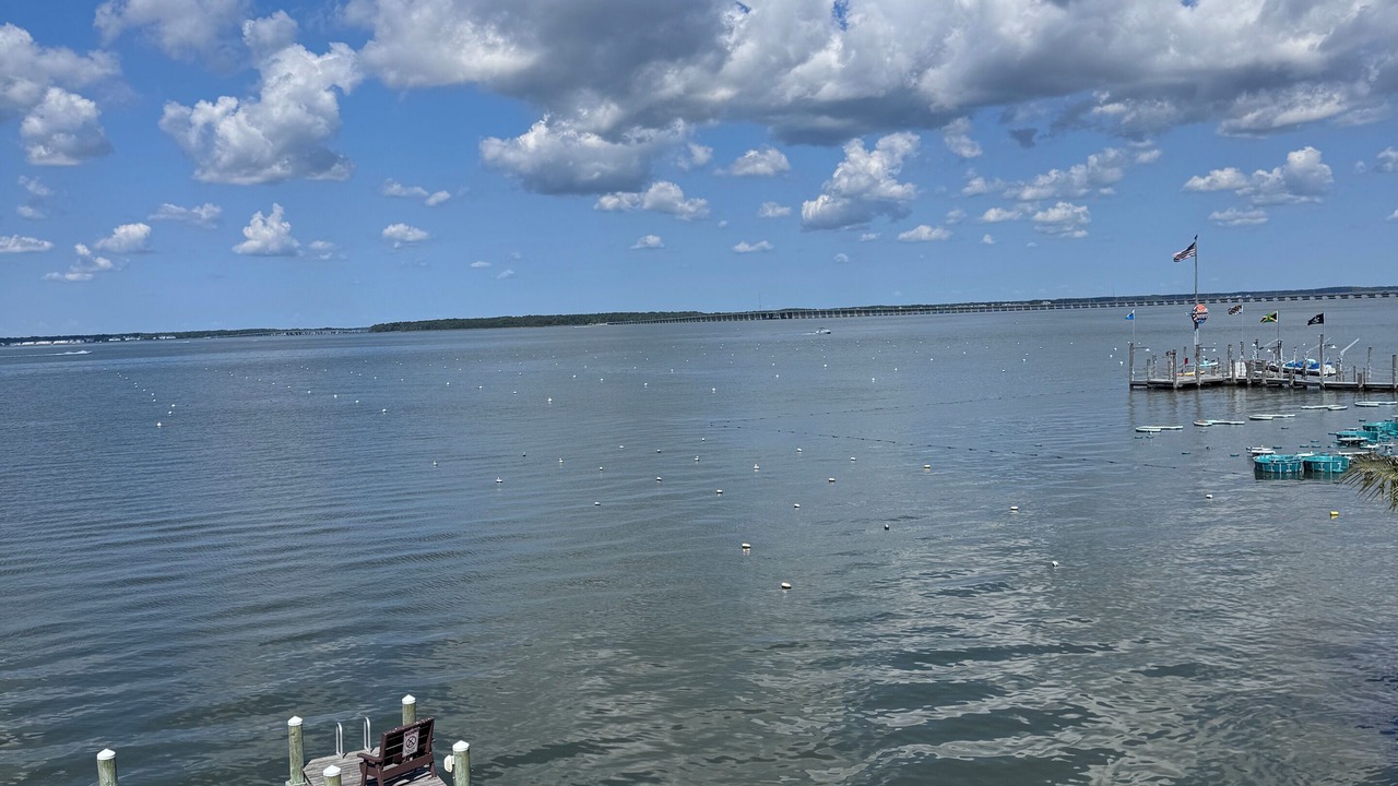 Photo of Others in Midtown Ocean City