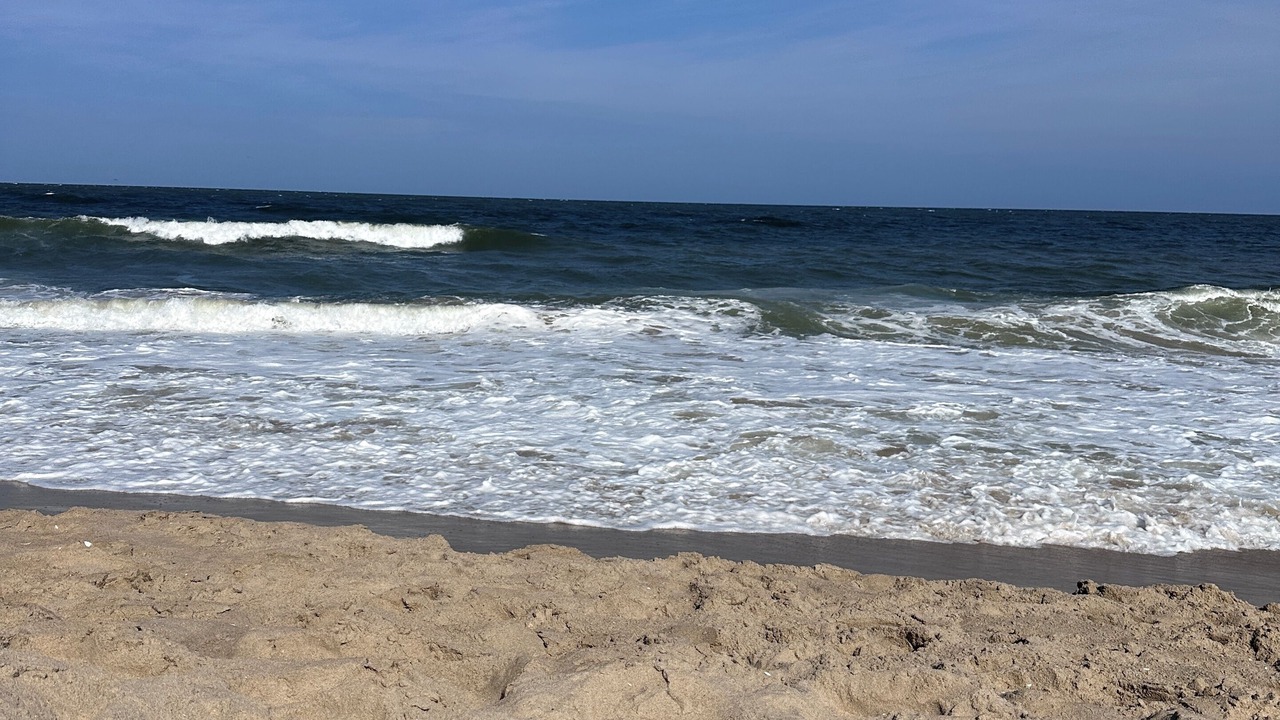 Photo of Others in Midtown Ocean City