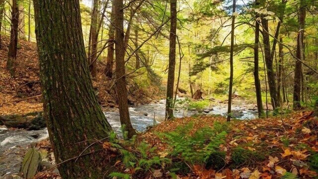 Photo of Outdoor in Margaretville