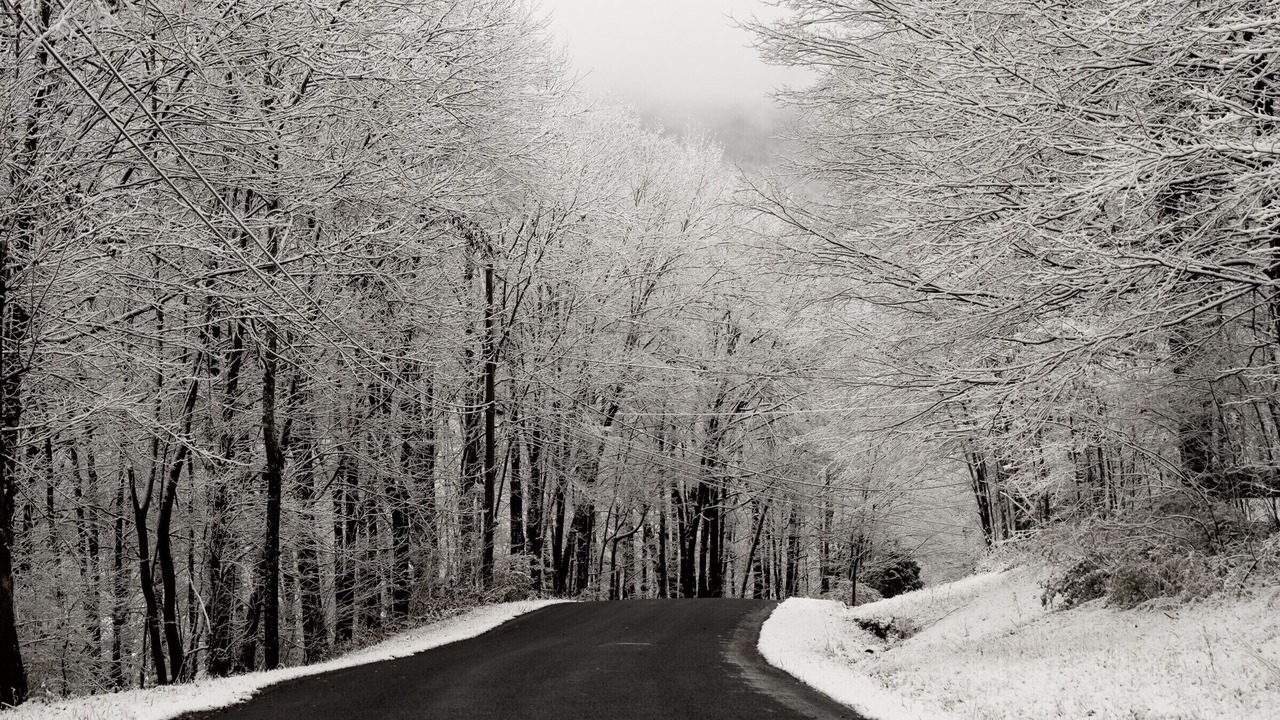 Photo of Others in Margaretville