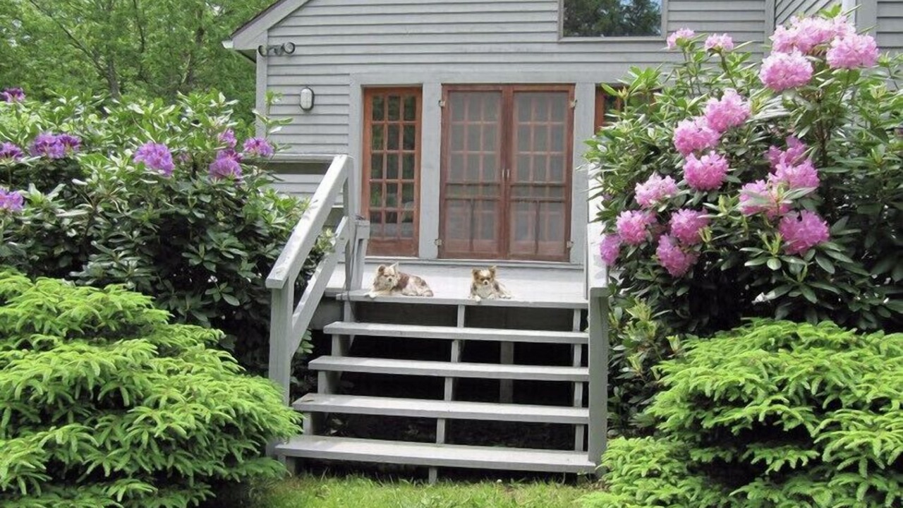 Photo of Outdoor in Margaretville