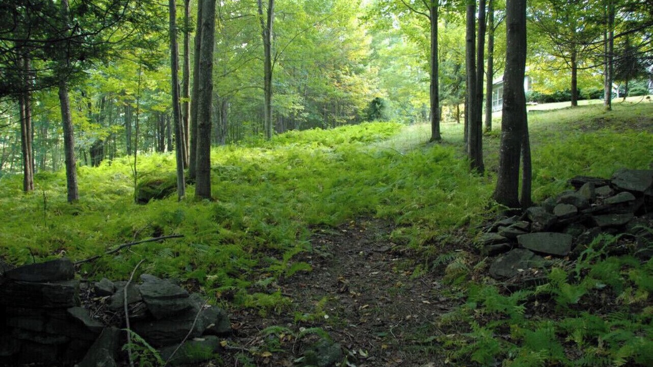 Photo of Outdoor in Margaretville