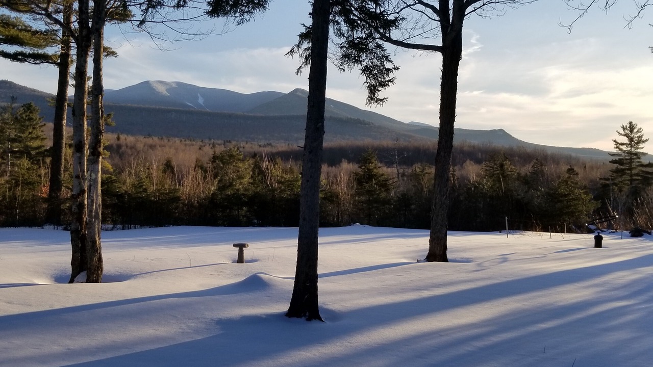 Photo of Others in Twin Mountain