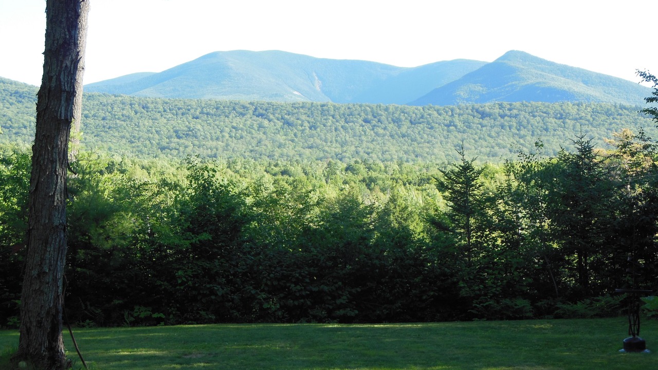 Photo of Others in Twin Mountain