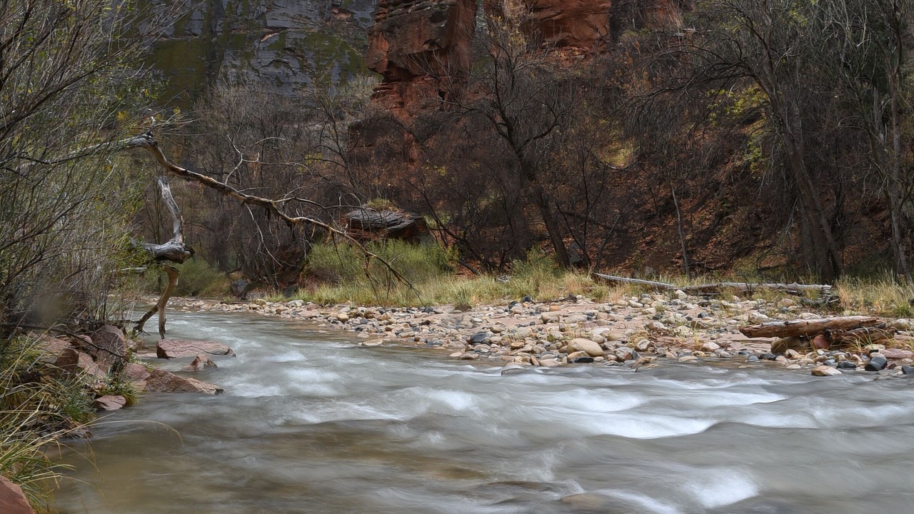 Photo of Others in Zion National Park South Entrance