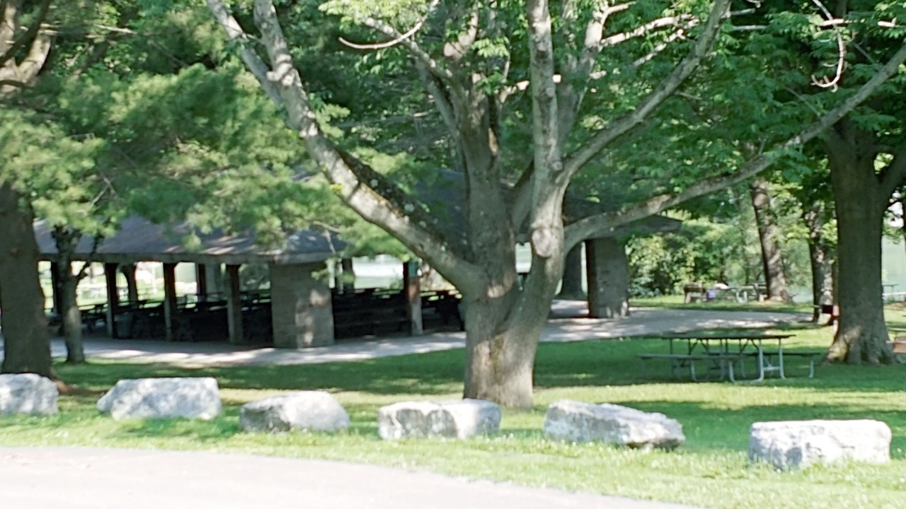 Photo of Others in Milford