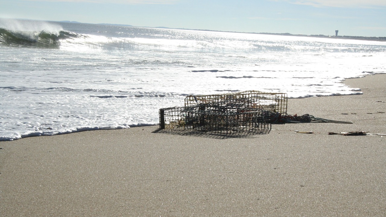 Photo of Others in Seabrook