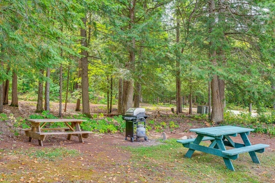 Photo of Outdoor in Bartlett
