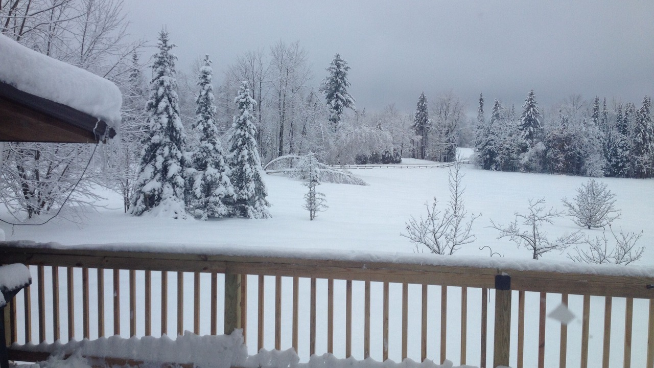Photo of Outdoor in Glover