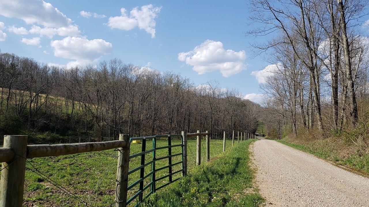 Photo of Outdoor in Langsville