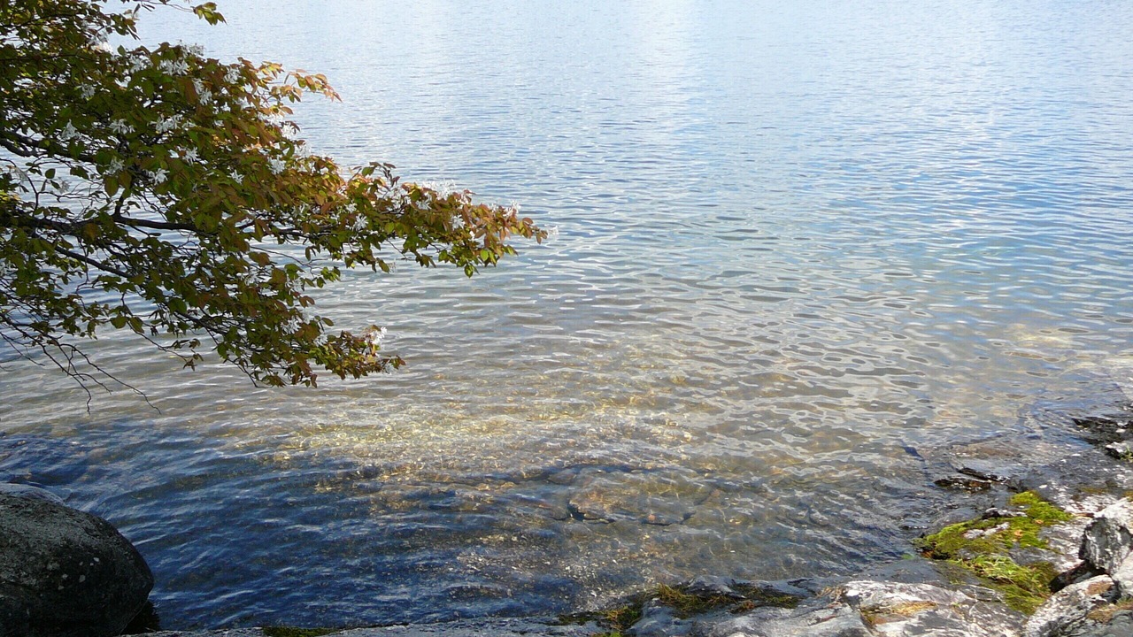 Photo of Outdoor in Gilford