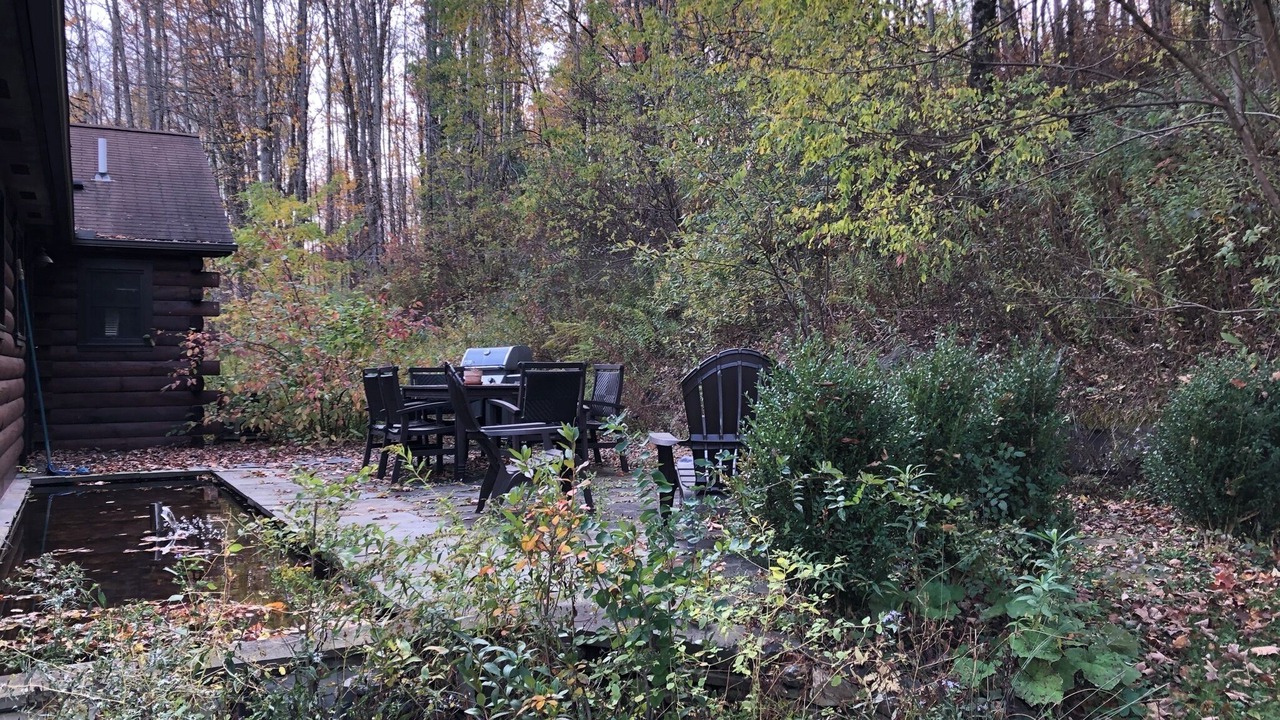 Photo of Outdoor in Hartwick