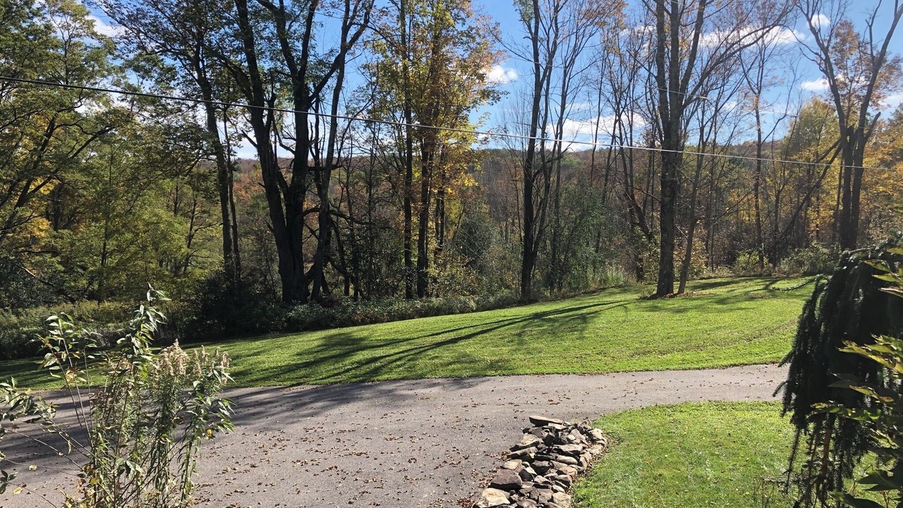 Photo of Outdoor in Hartwick