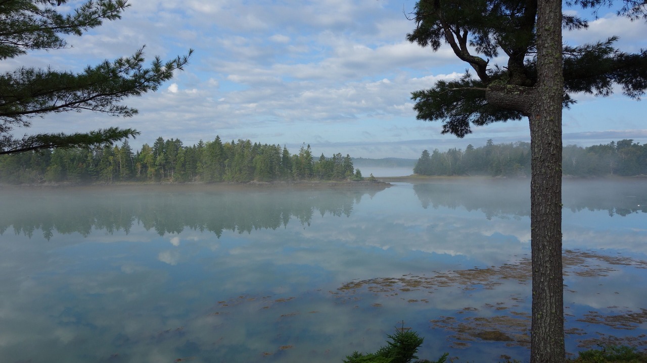 Photo of Others in Lubec