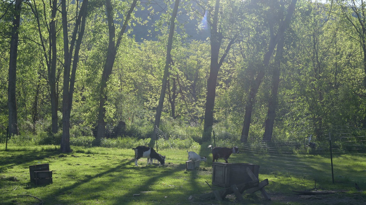 Photo of Outdoor in Honeoye