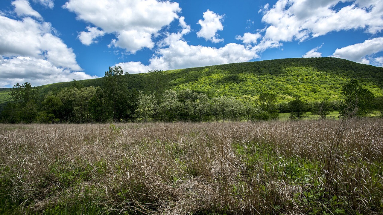 Photo of Others in Honeoye