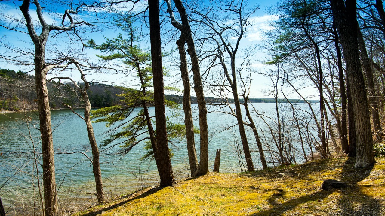 Photo of Others in Damariscotta