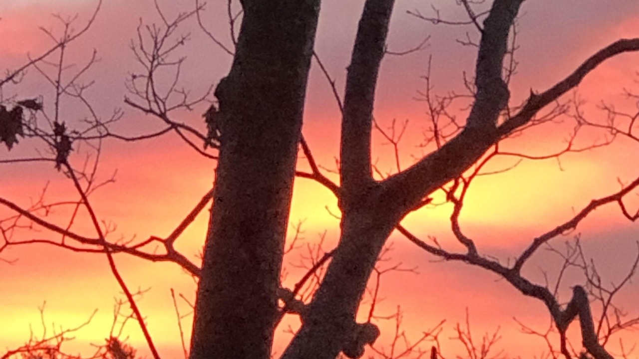 Photo of Others in Damariscotta