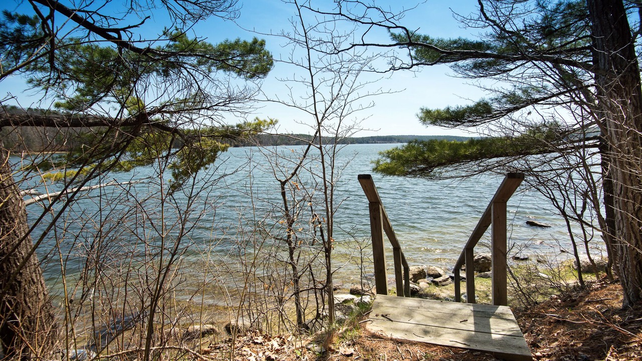 Photo of Others in Damariscotta