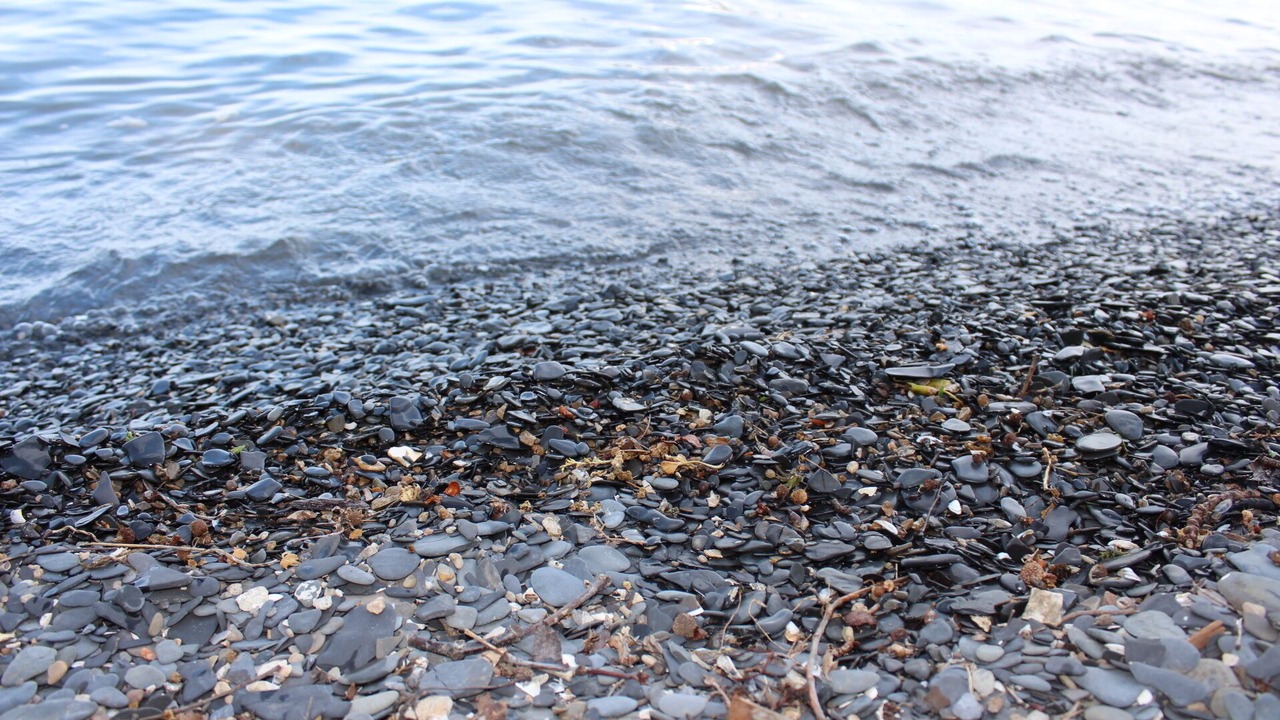 Photo of Others in Canandaigua