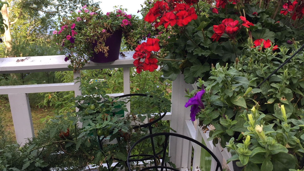 Photo of Patio Balcony in Freedom