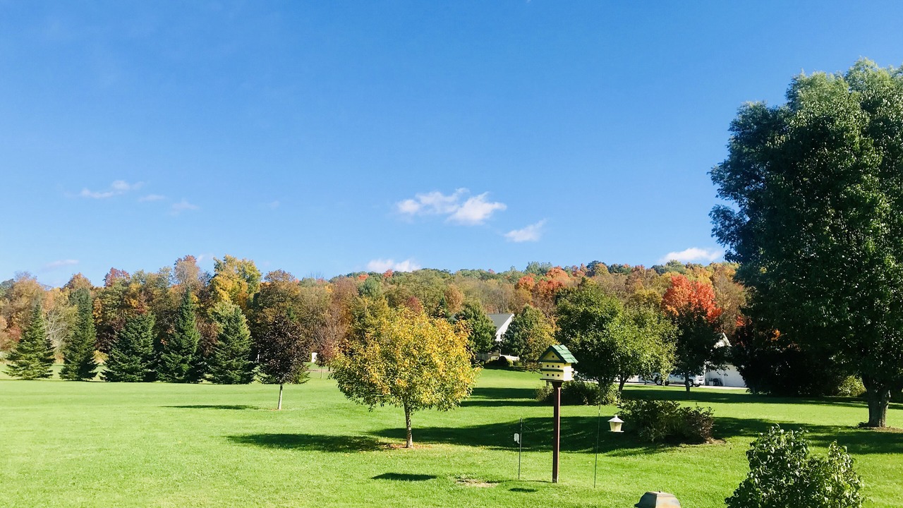 Photo of Outdoor in Vergennes