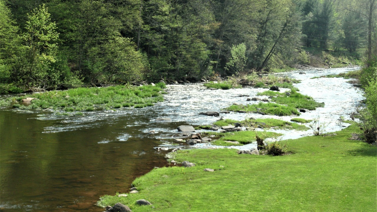 Photo of Others in Windham