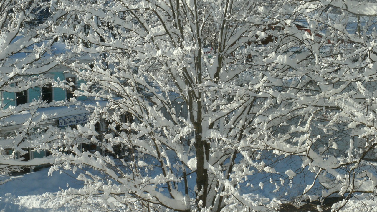 Photo of Patio Balcony in Windham