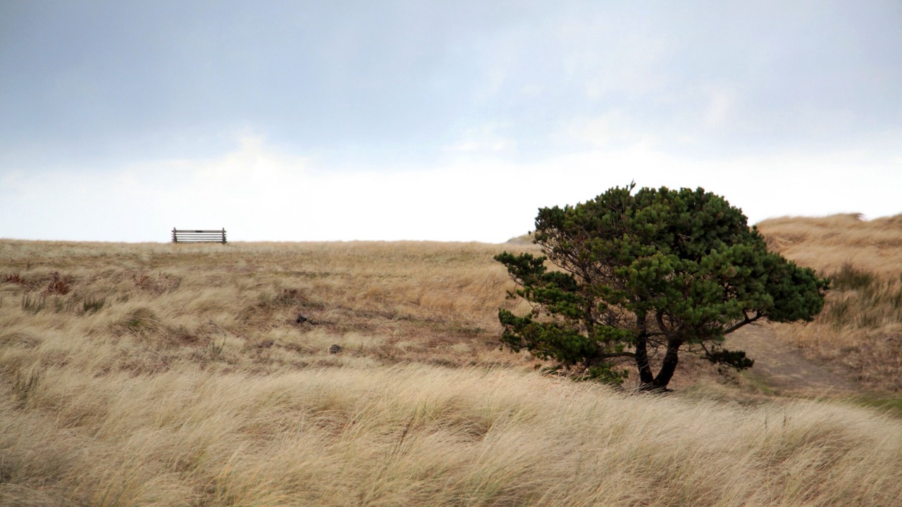 Photo of Others in Gearhart