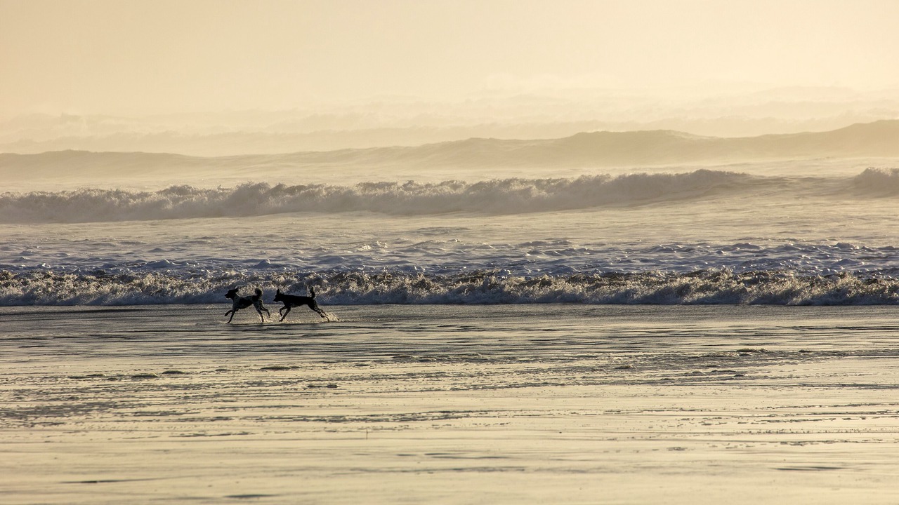 Photo of Others in Gearhart