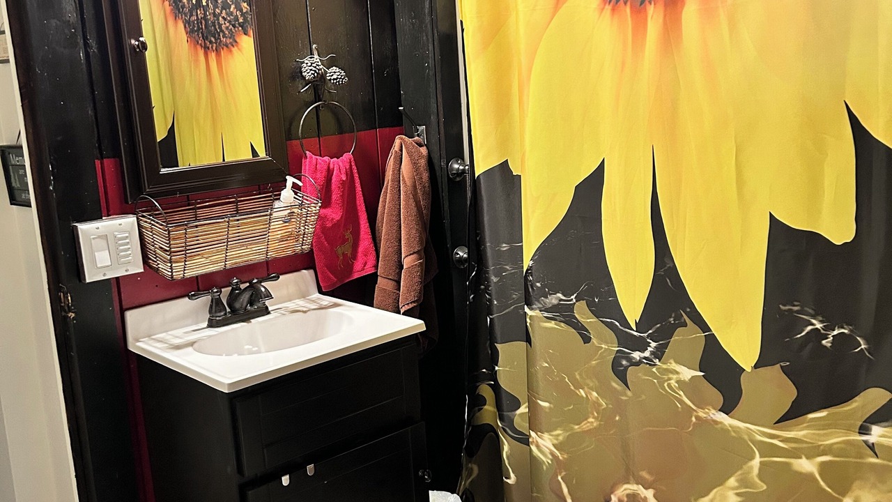 Photo of Bathroom in Lake Luzerne