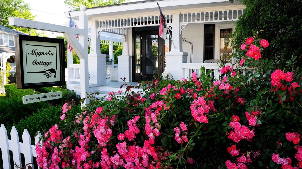 Photo of Others in Historic Downtown Manteo