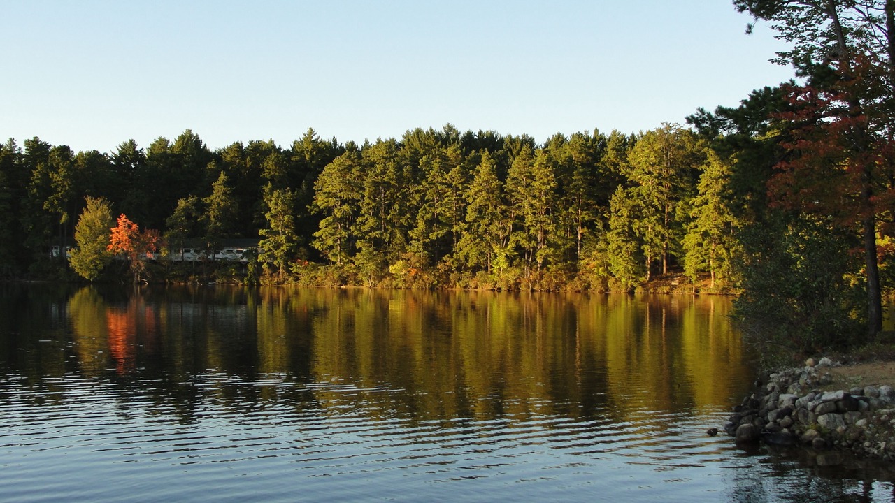 Photo of Outdoor in The Bays