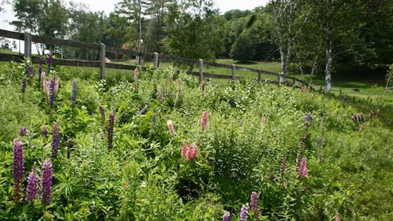Photo of Outdoor in Chester