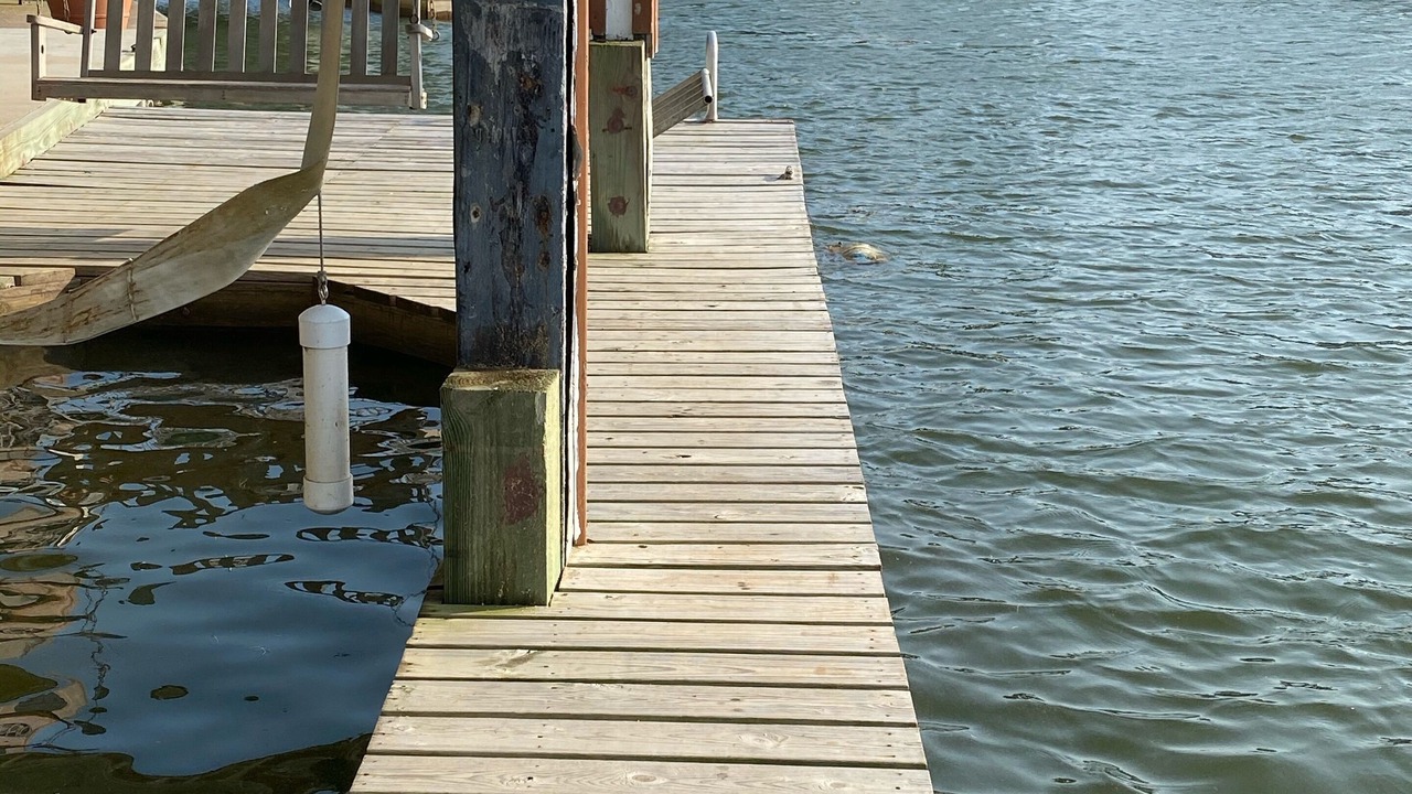 Photo of Others in Jamaica Beach