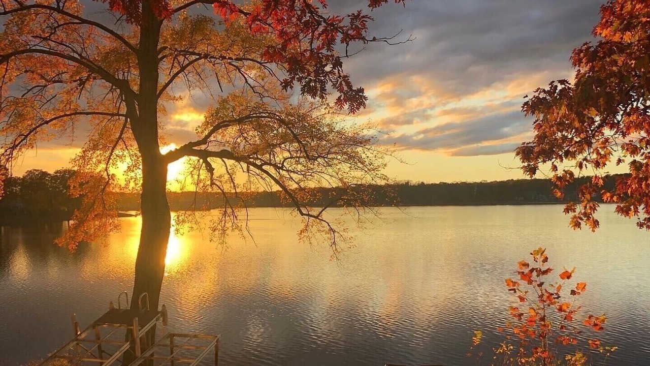 Photo of Others in Orange Lake