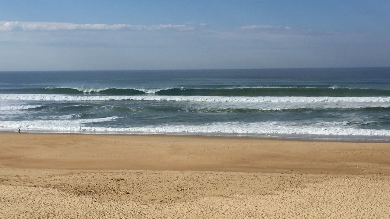 Photo of Others in Montauk