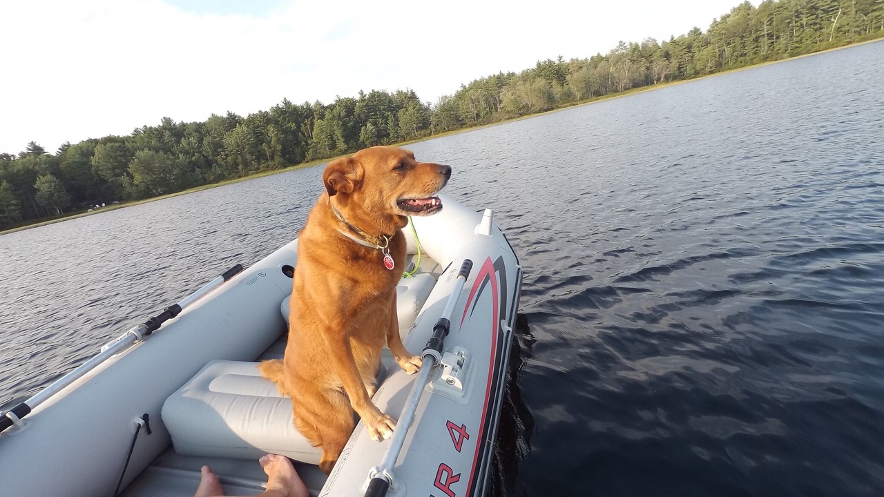 Photo of Others in Wolfeboro