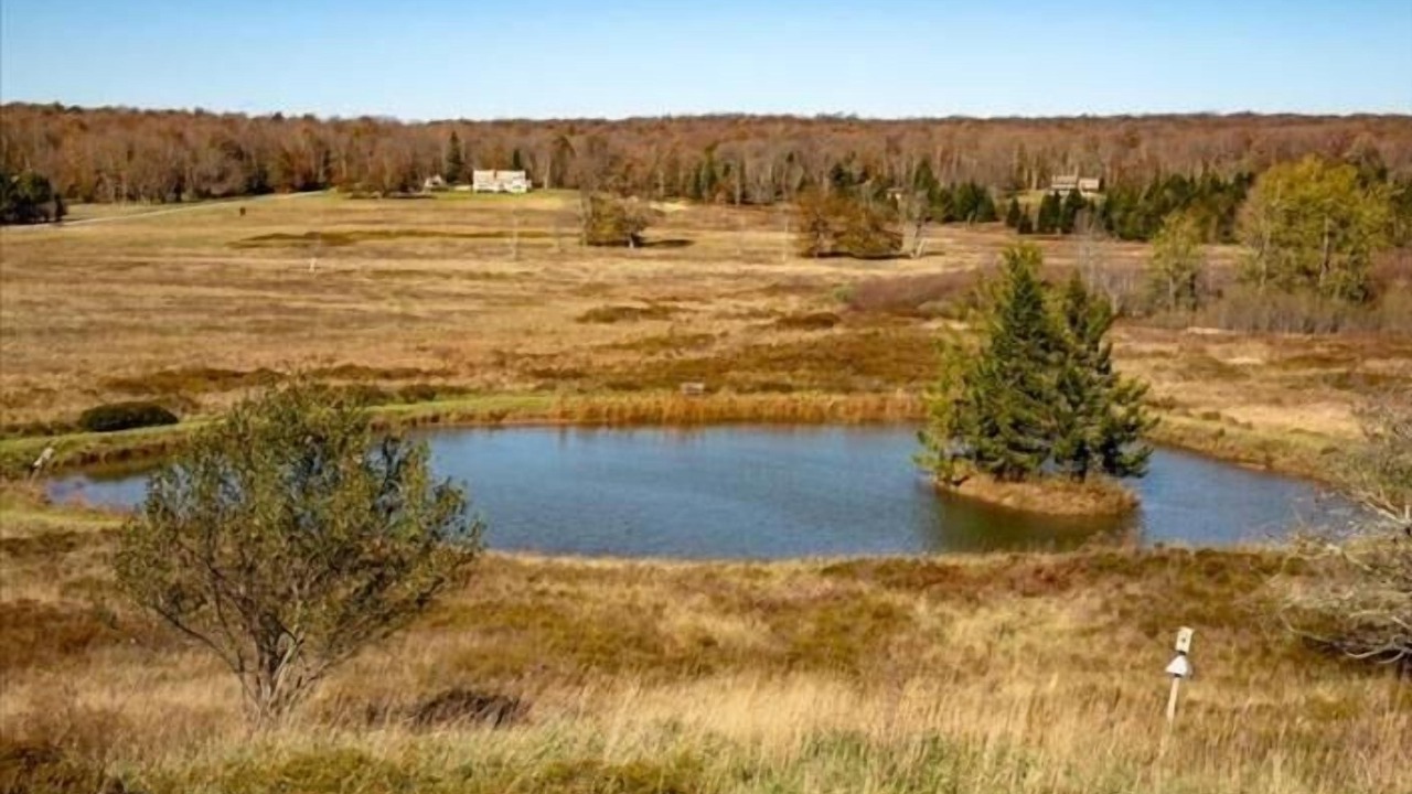 Photo of Outdoor in Old Timberline
