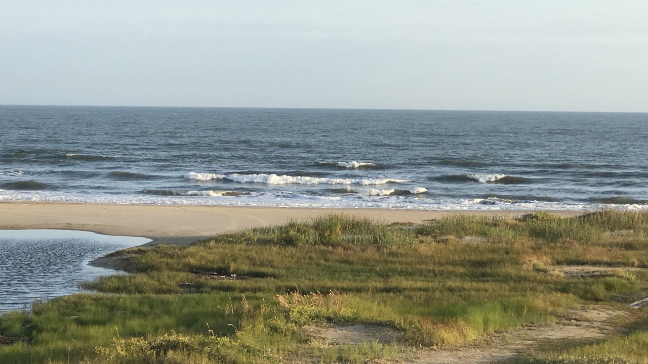 Photo of Others in Port Bolivar