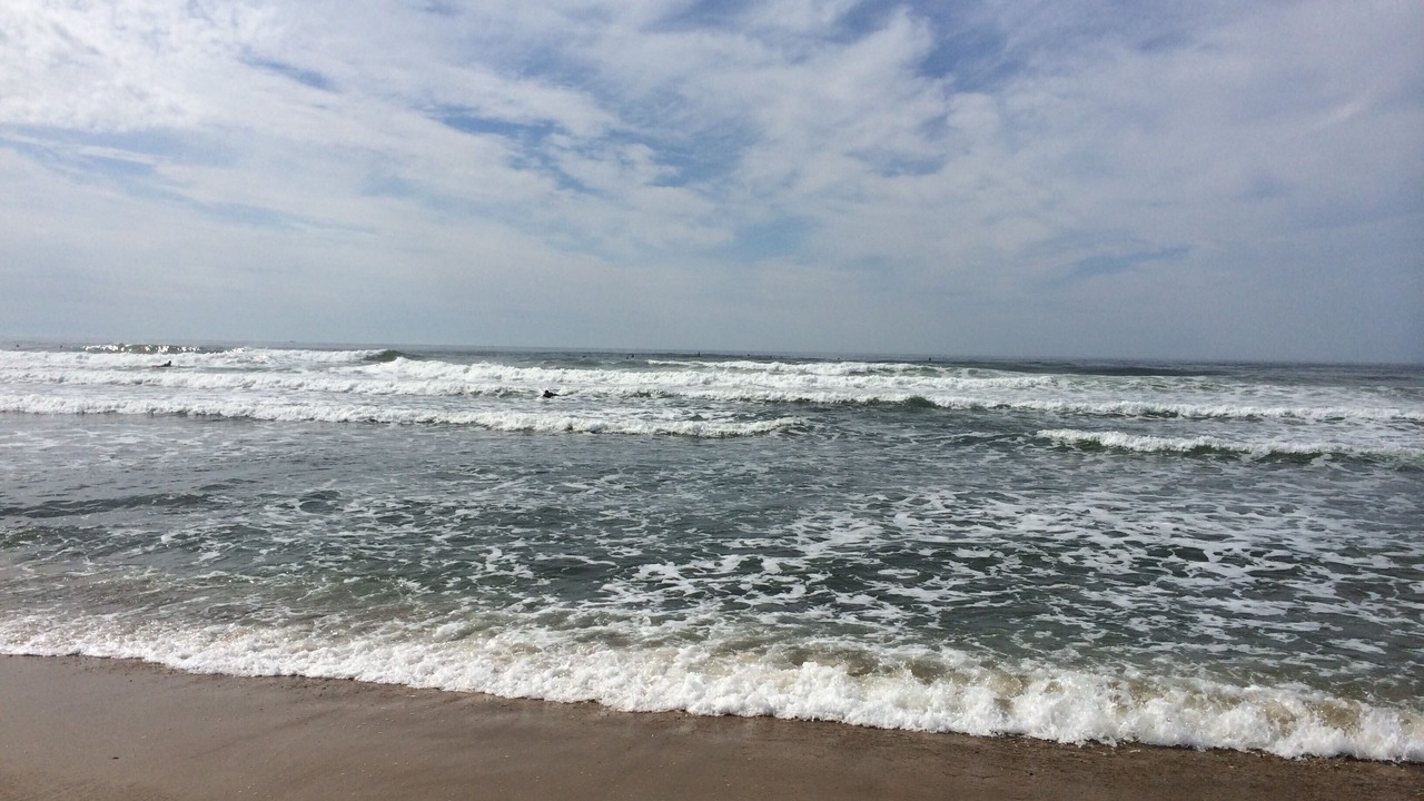 Photo of Others in Montauk
