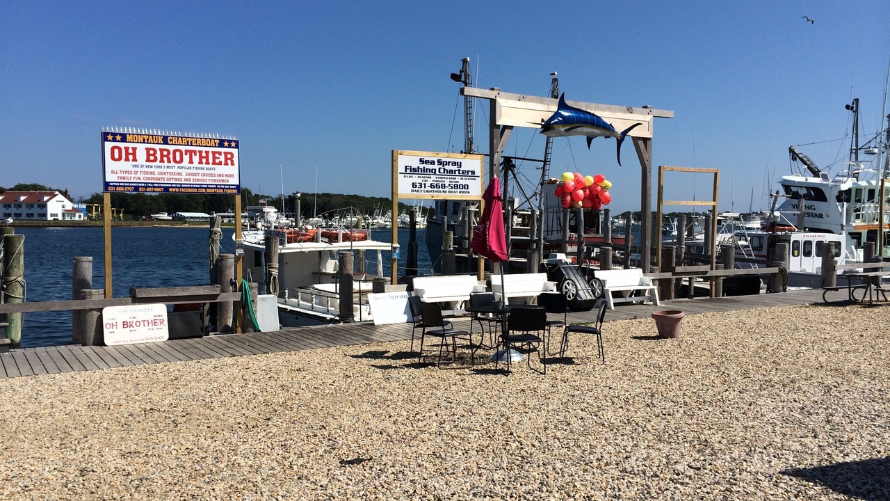 Photo of Others in Montauk