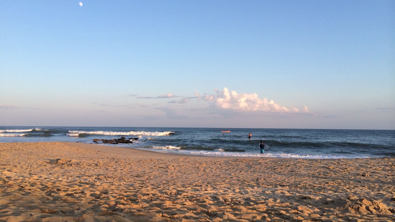 Photo of Others in Montauk